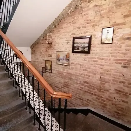 Three Dolphins With A Rooftop Terracе فندق 3*