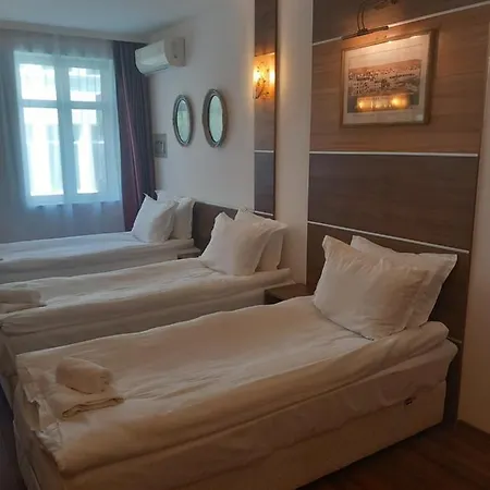 Three Dolphins With A Rooftop Terracе Hotel 3*