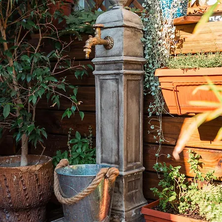 Three Dolphins With A Rooftop Terracе Hotel